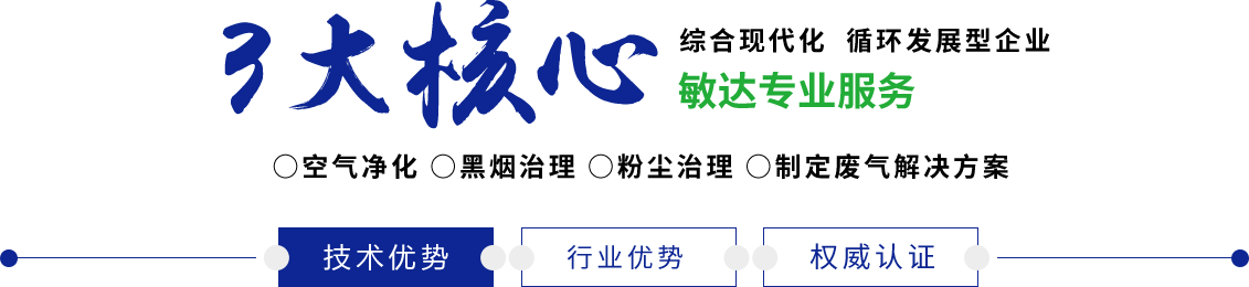 美国日本俄罗斯黄色部免费电影院敏达环保科技（嘉兴）有限公司